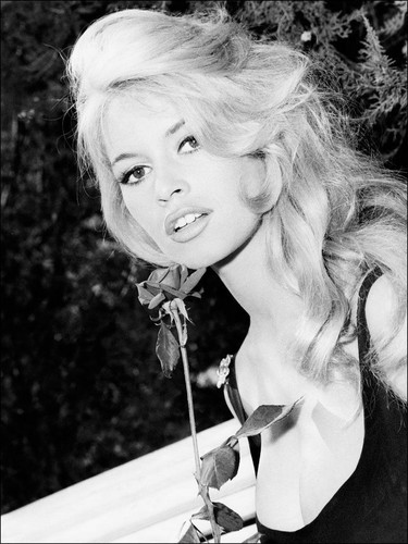 Brigitte bardot sensual - brigitte,