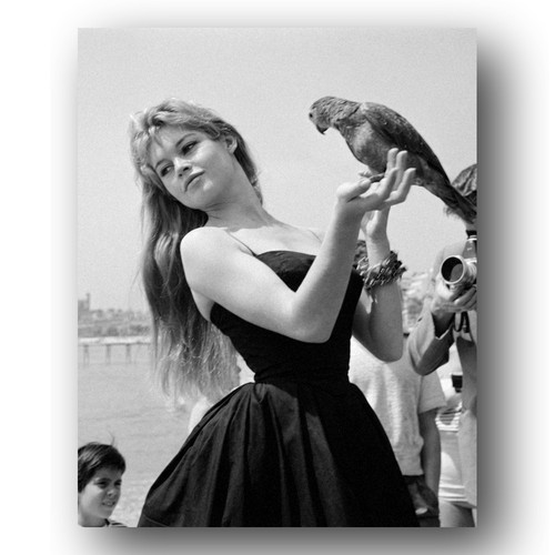 Brigitte bardot photo - brigitte, 8x10