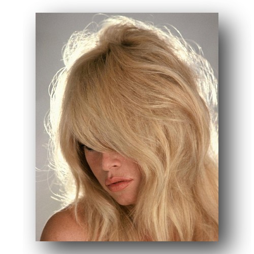 Brigitte bardot photo 8x10 - brigitte,
