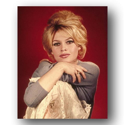 Brigitte bardot photo 8x10 - brigitte,