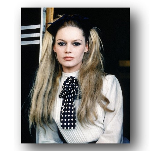 Brigitte bardot photo 8x10 - bardot,