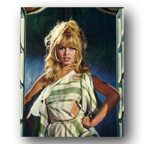 Brigitte bardot photo - brigitte,