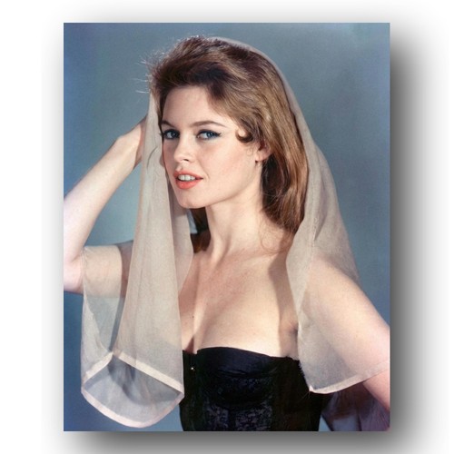 Brigitte bardot photo 8x10 - photo,