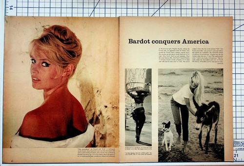 Vintage brigitte bardot - brigitte,