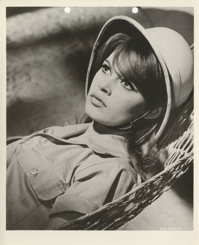 Brigitte bardot please not now - not,