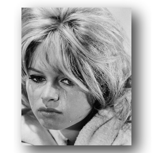 Brigitte bardot photo 8x10 - bardot,