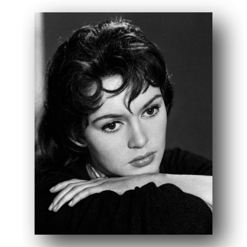 Brigitte bardot photo - brigitte,