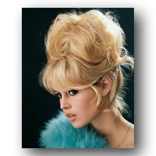 Brigitte bardot photo 8x10 - bardot,