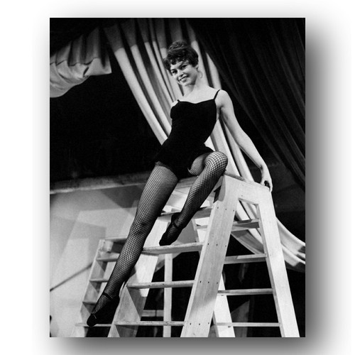 Brigitte bardot photo 8x10 - brigitte,