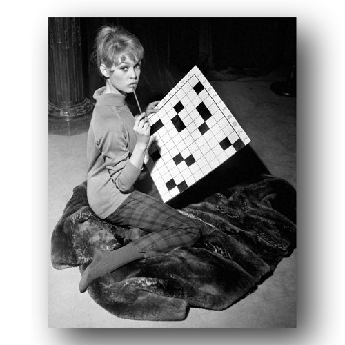 Brigitte bardot photo - bardot,