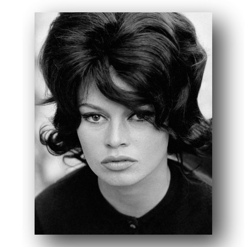 Brigitte bardot photo - brigitte,
